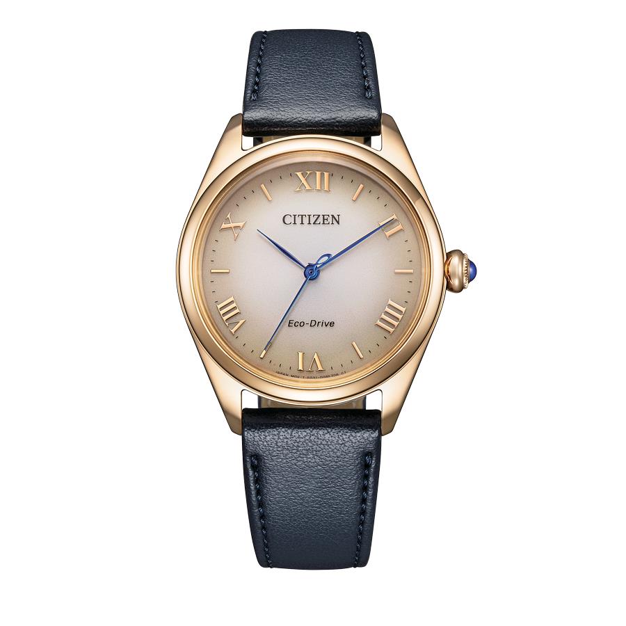 Citizen Eco-Drive Lady Watch