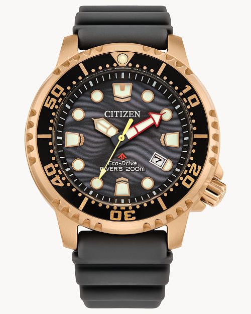 Citizen Promaster SS Watch